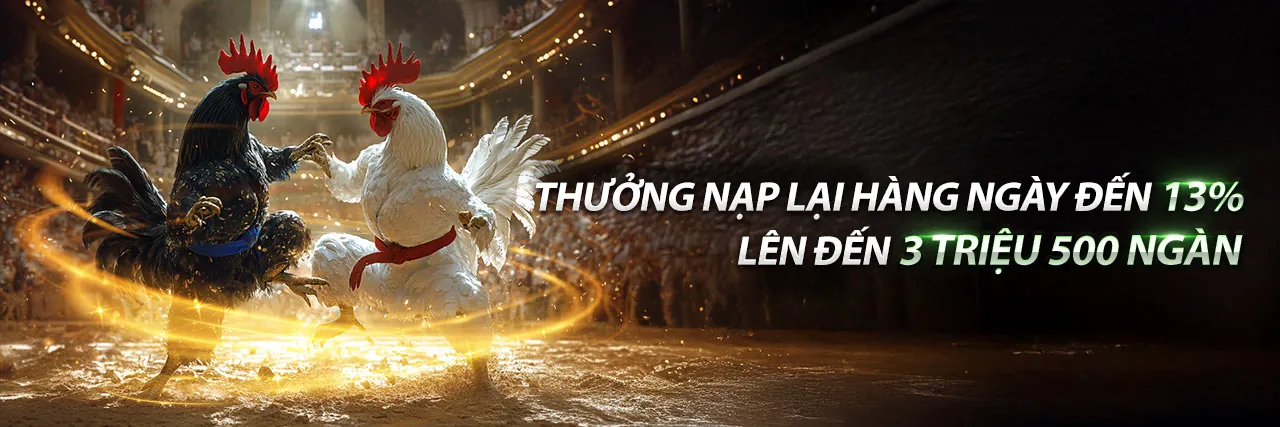 Sân Đá Gà Trực Tuyến 11bet